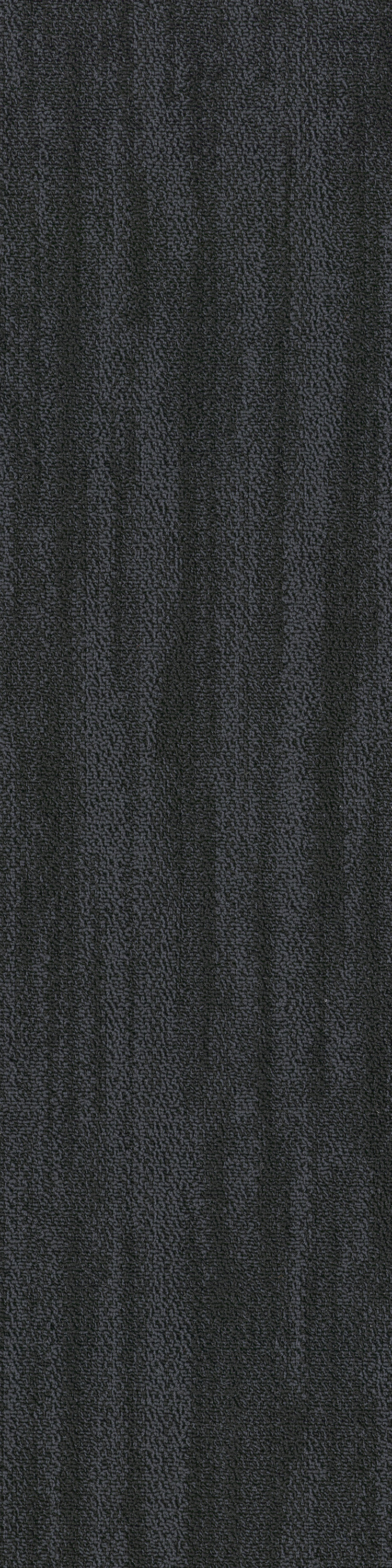 Patent 79505