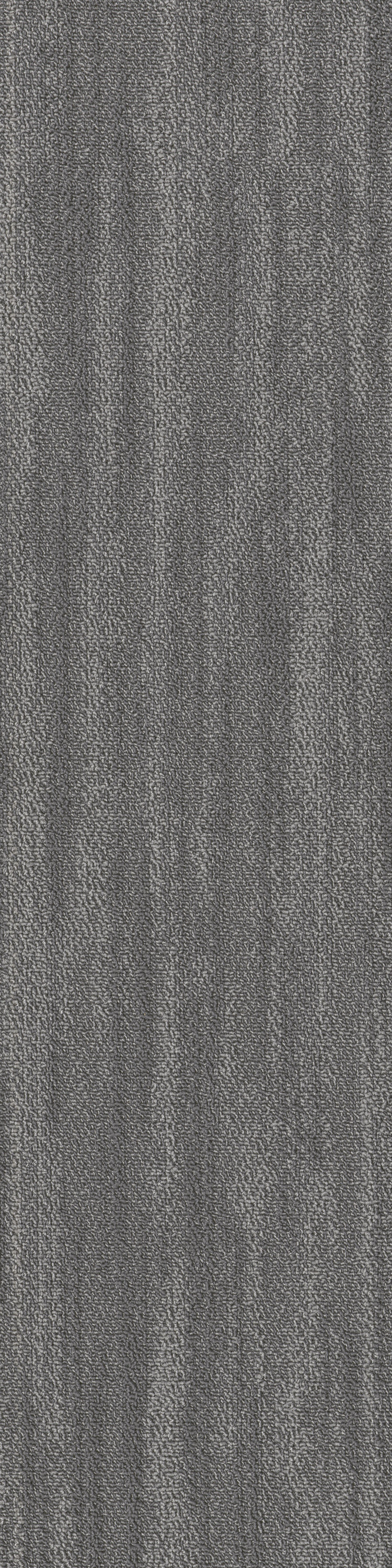 Flax 79557