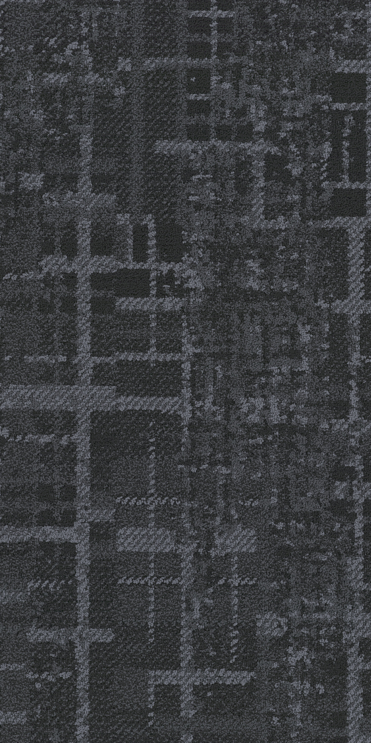 Patent 79505