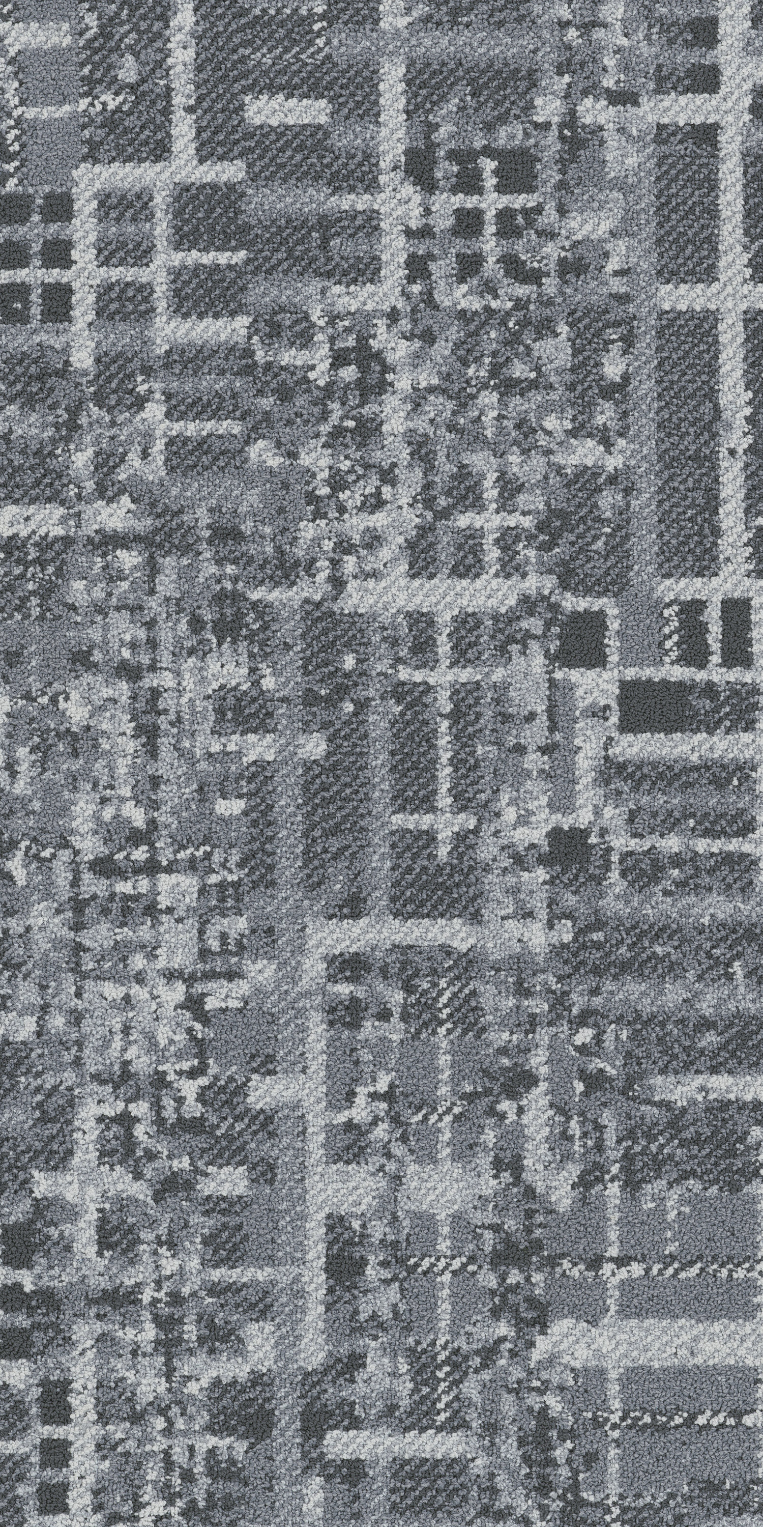 Cotton 79515