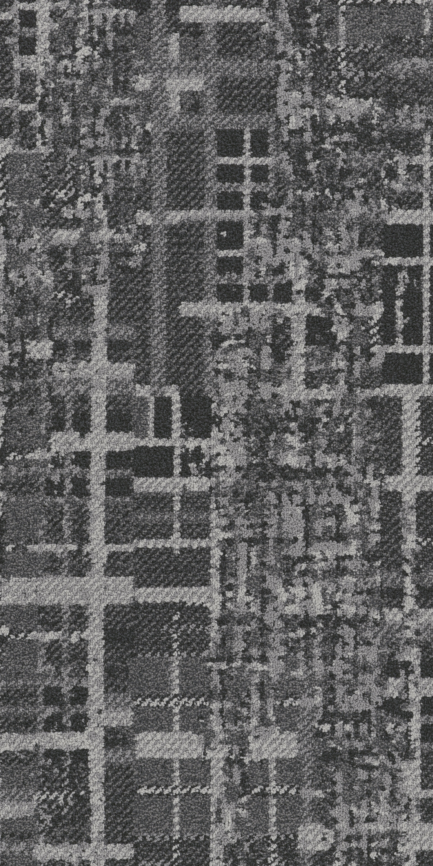 Flax 79557