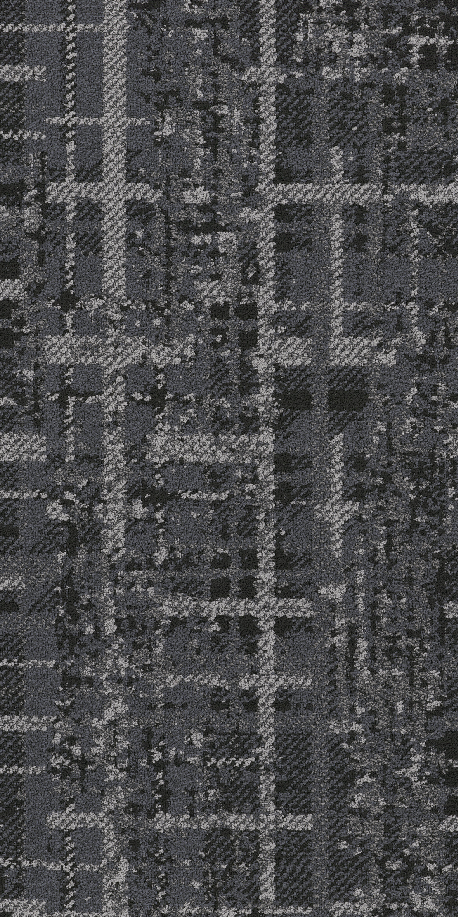 Angora 79596