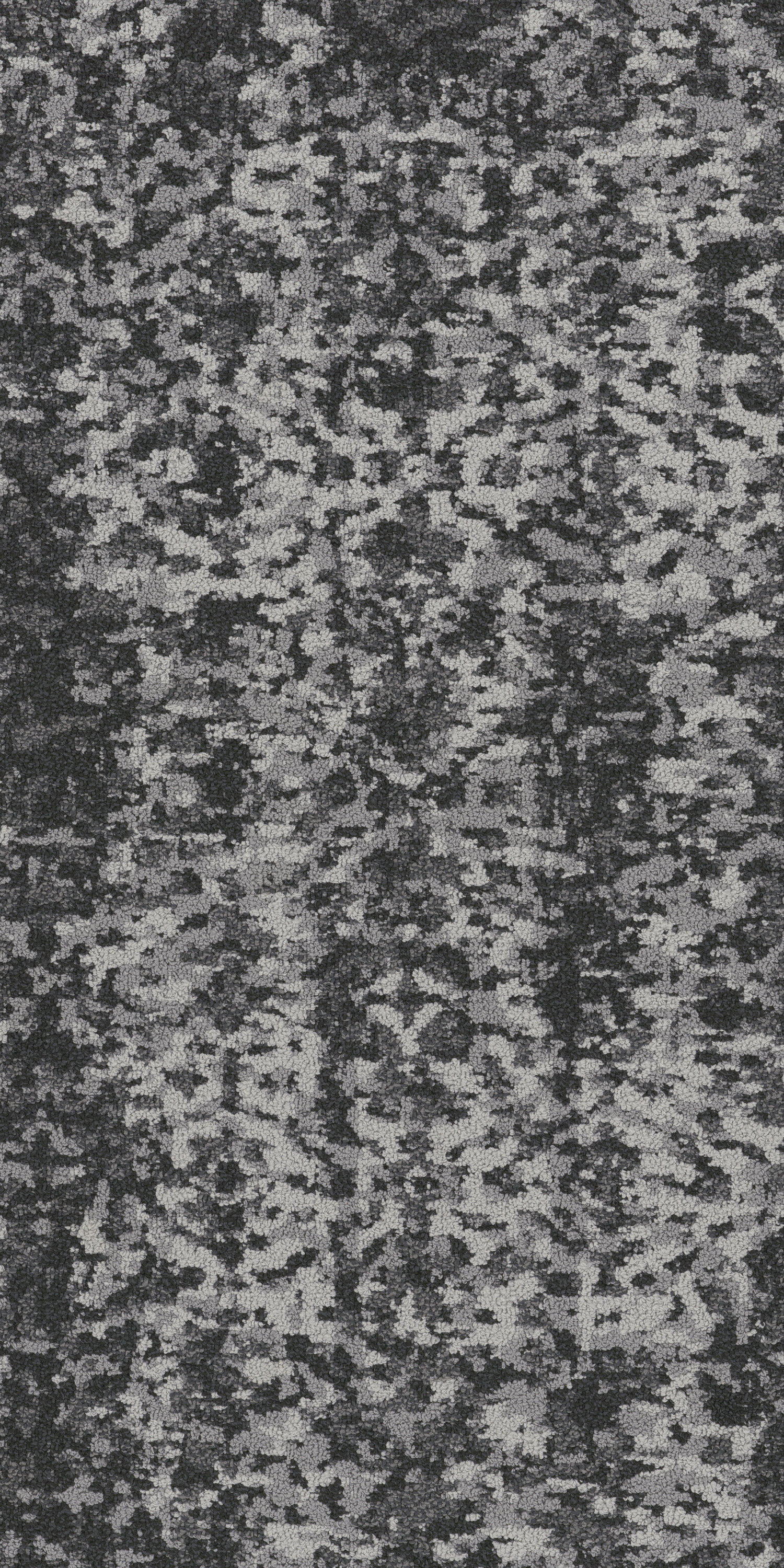 Flax 79557