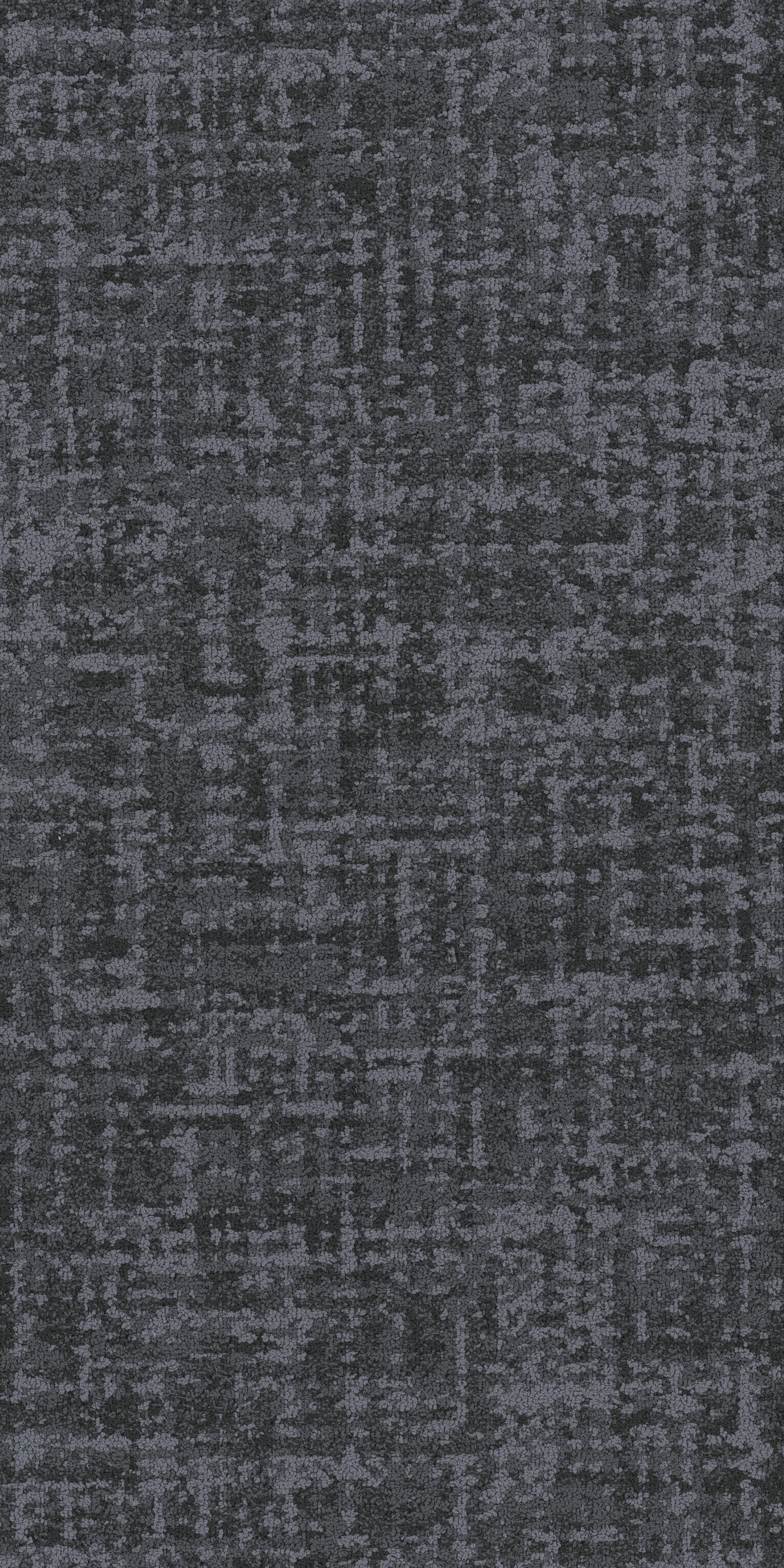 Patent 79505
