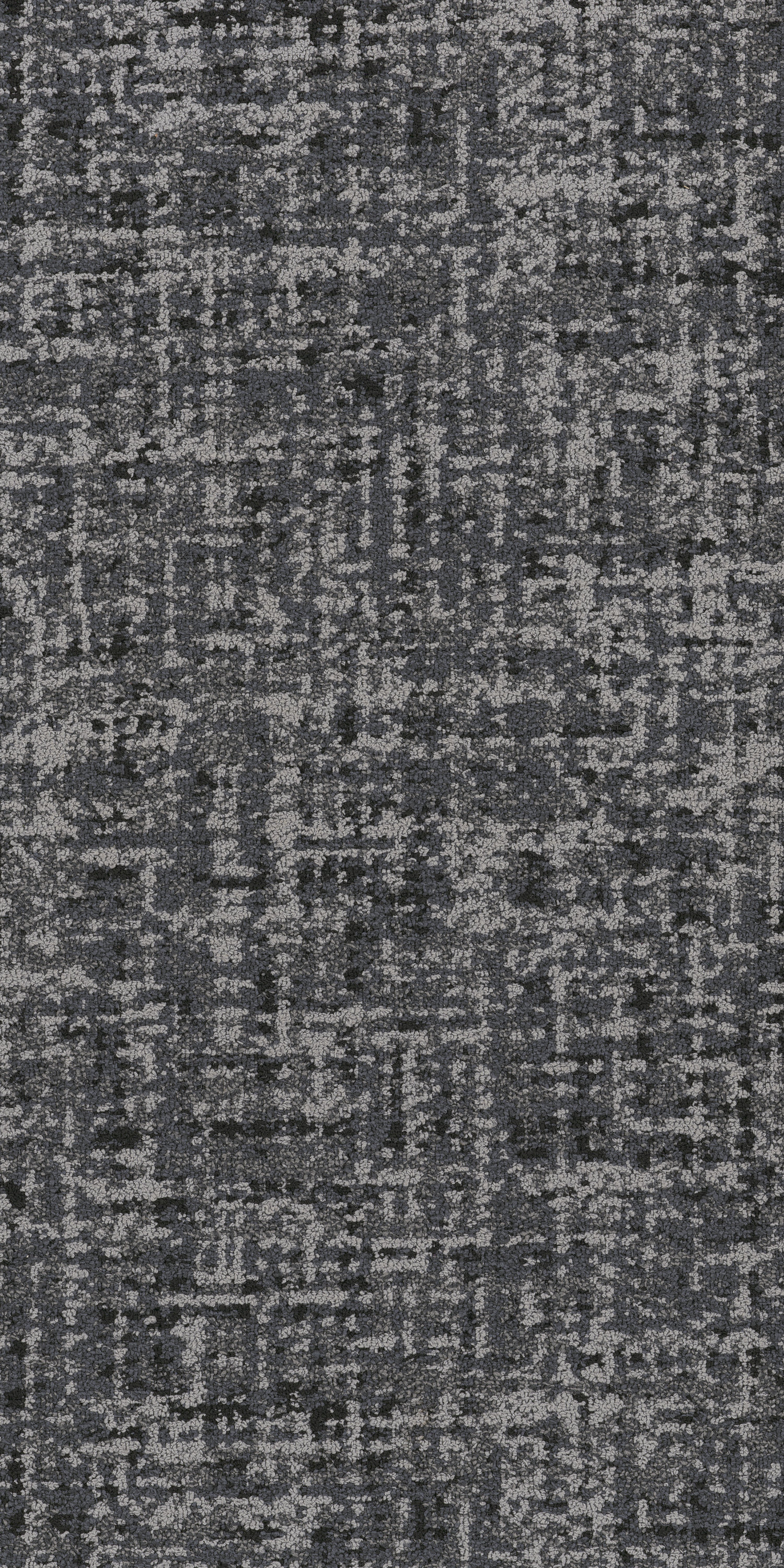 Angora 79596