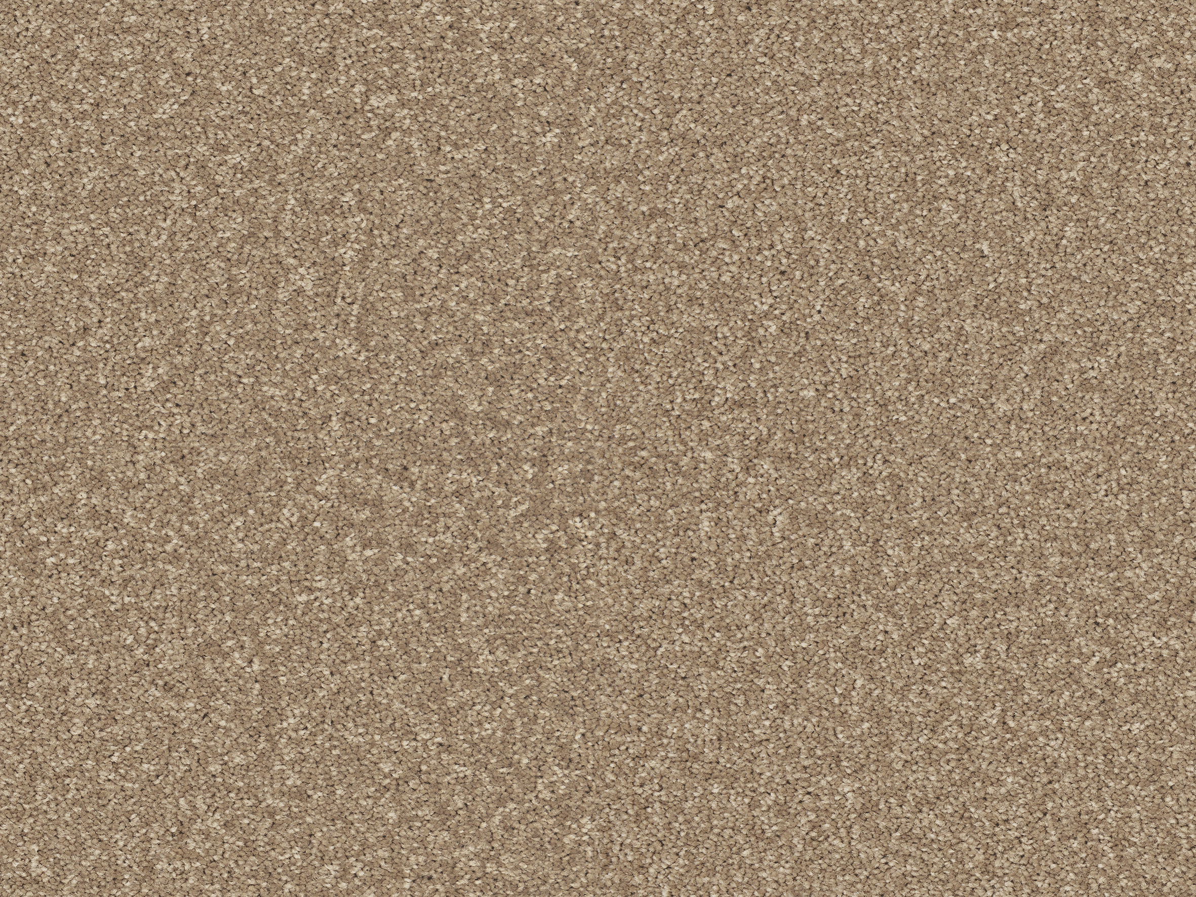 260 Camel