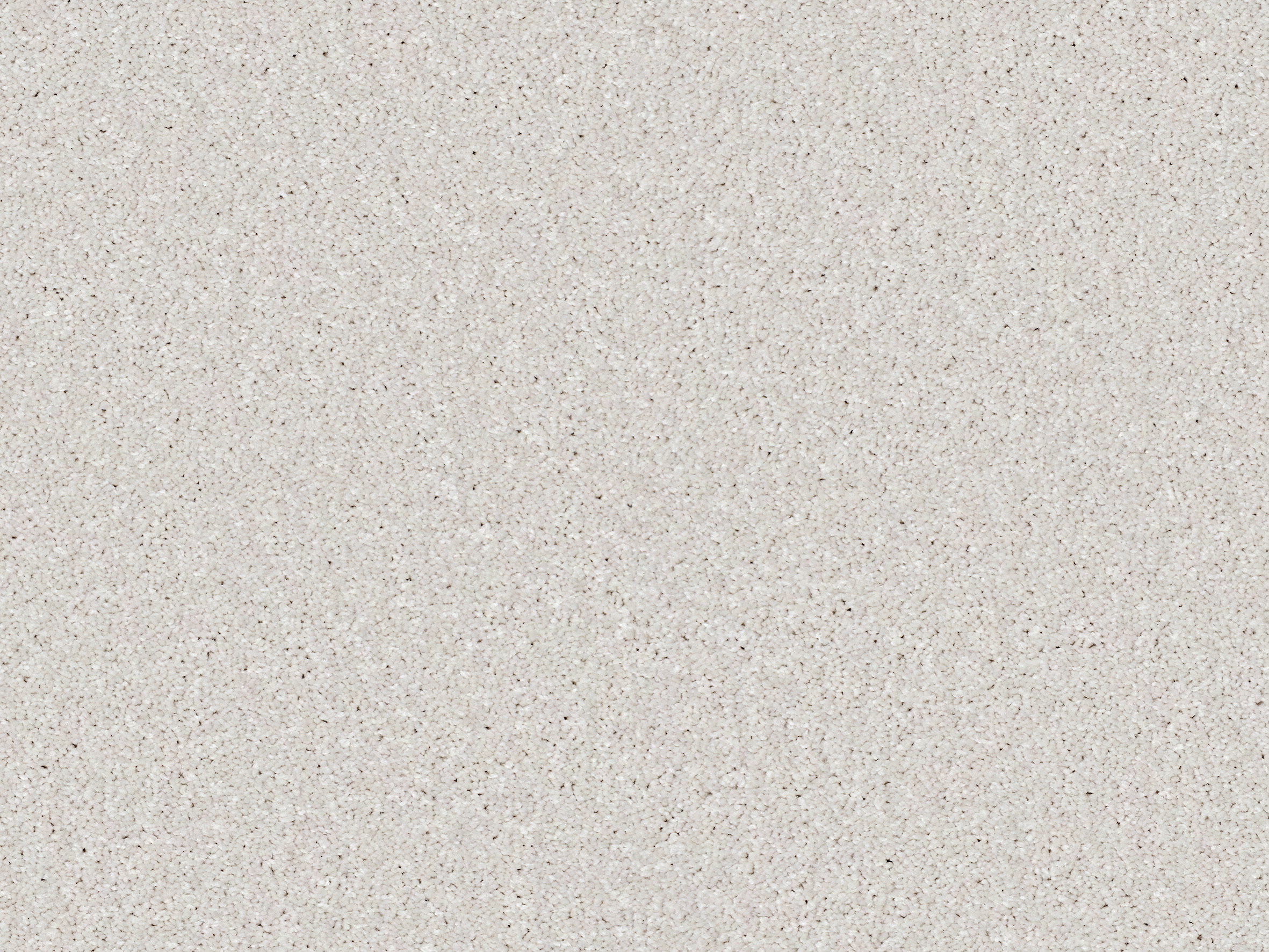 440 Ivory