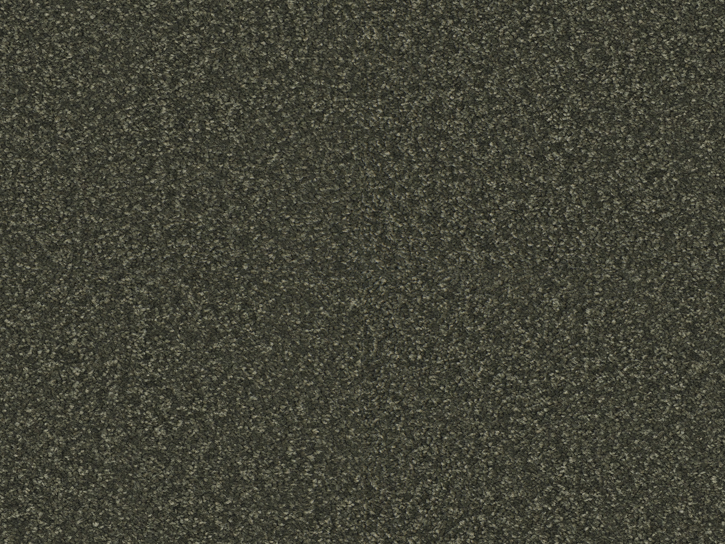 590 Moss