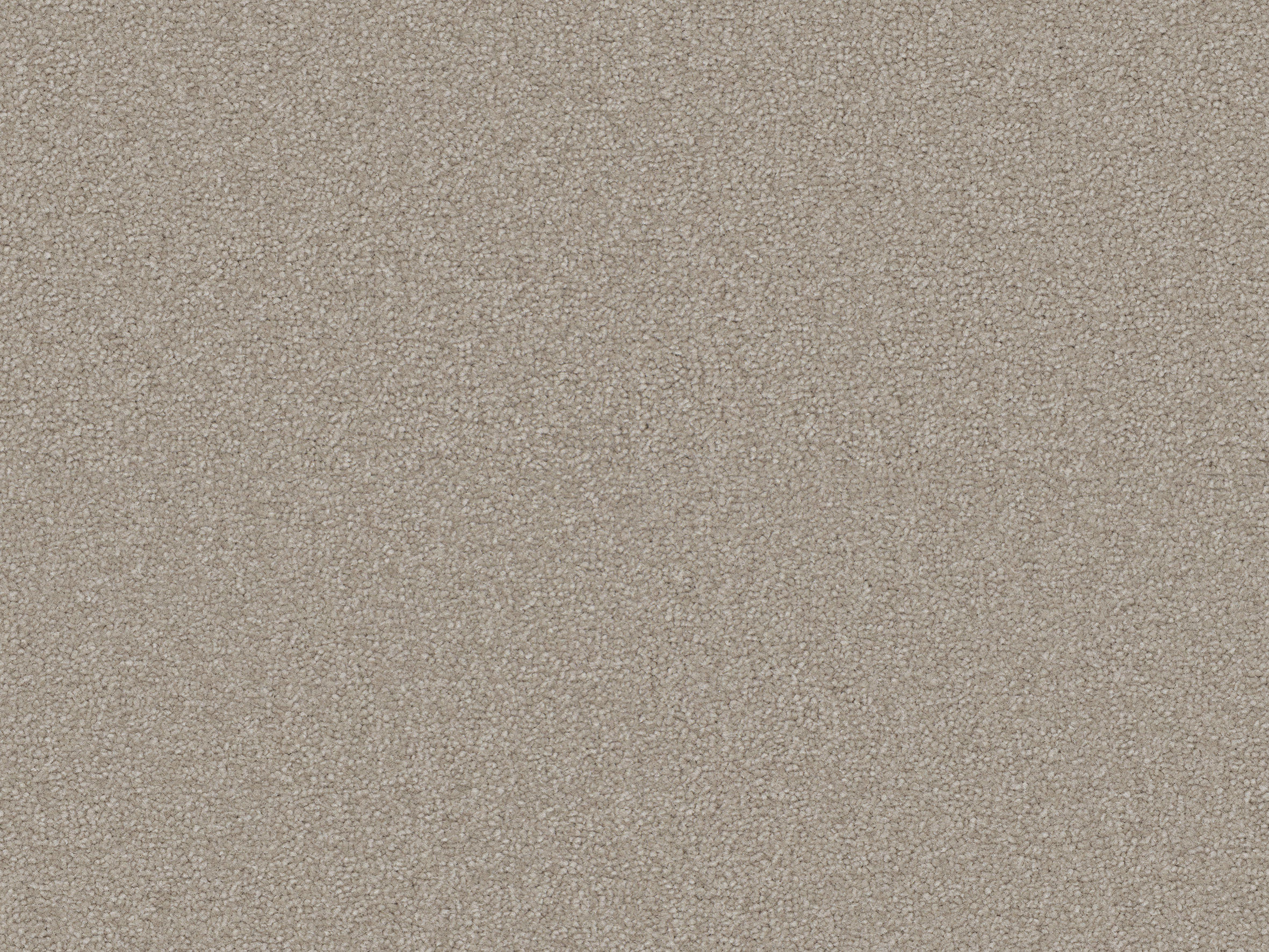 230 Flax