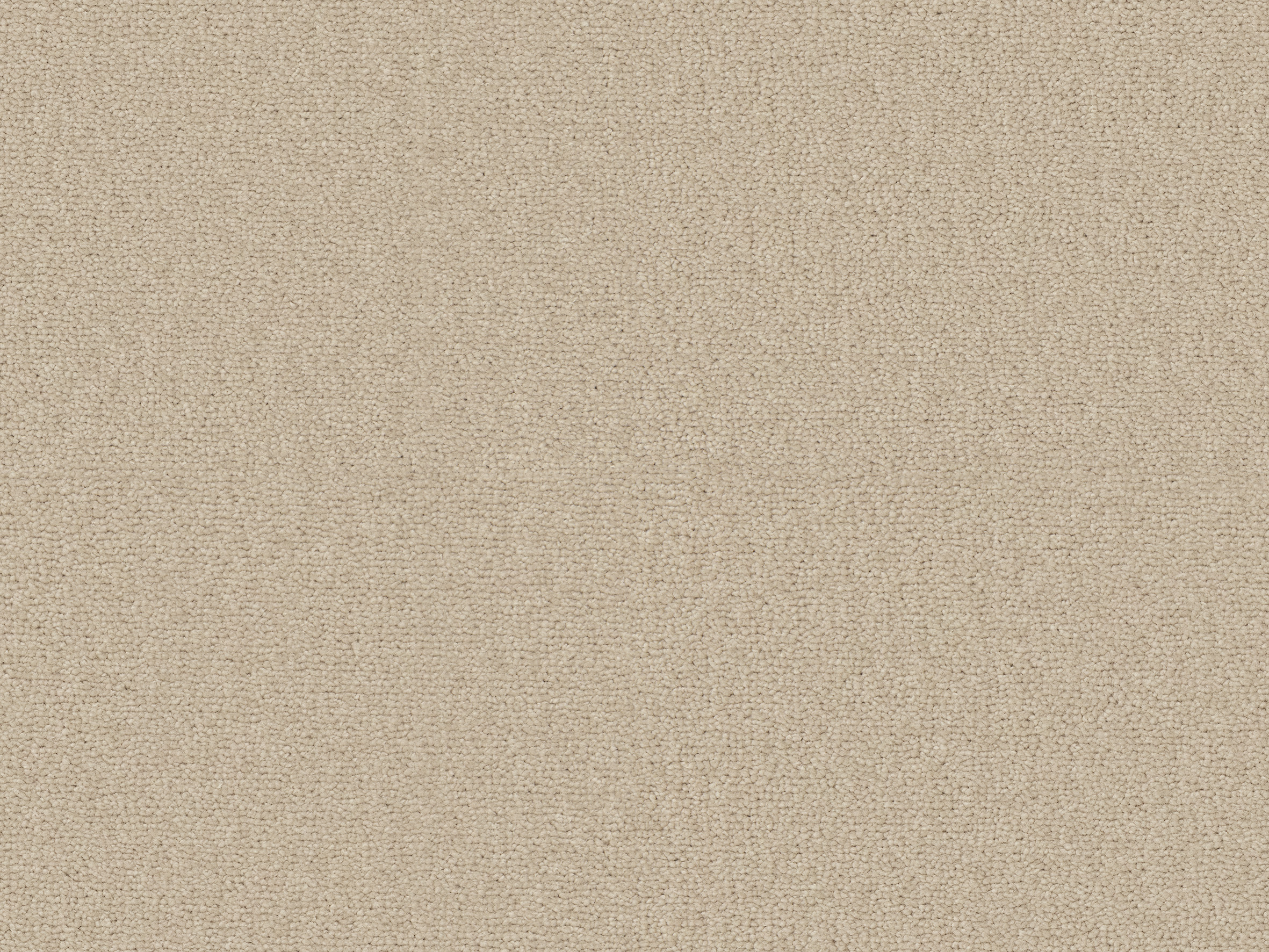 260 Camel