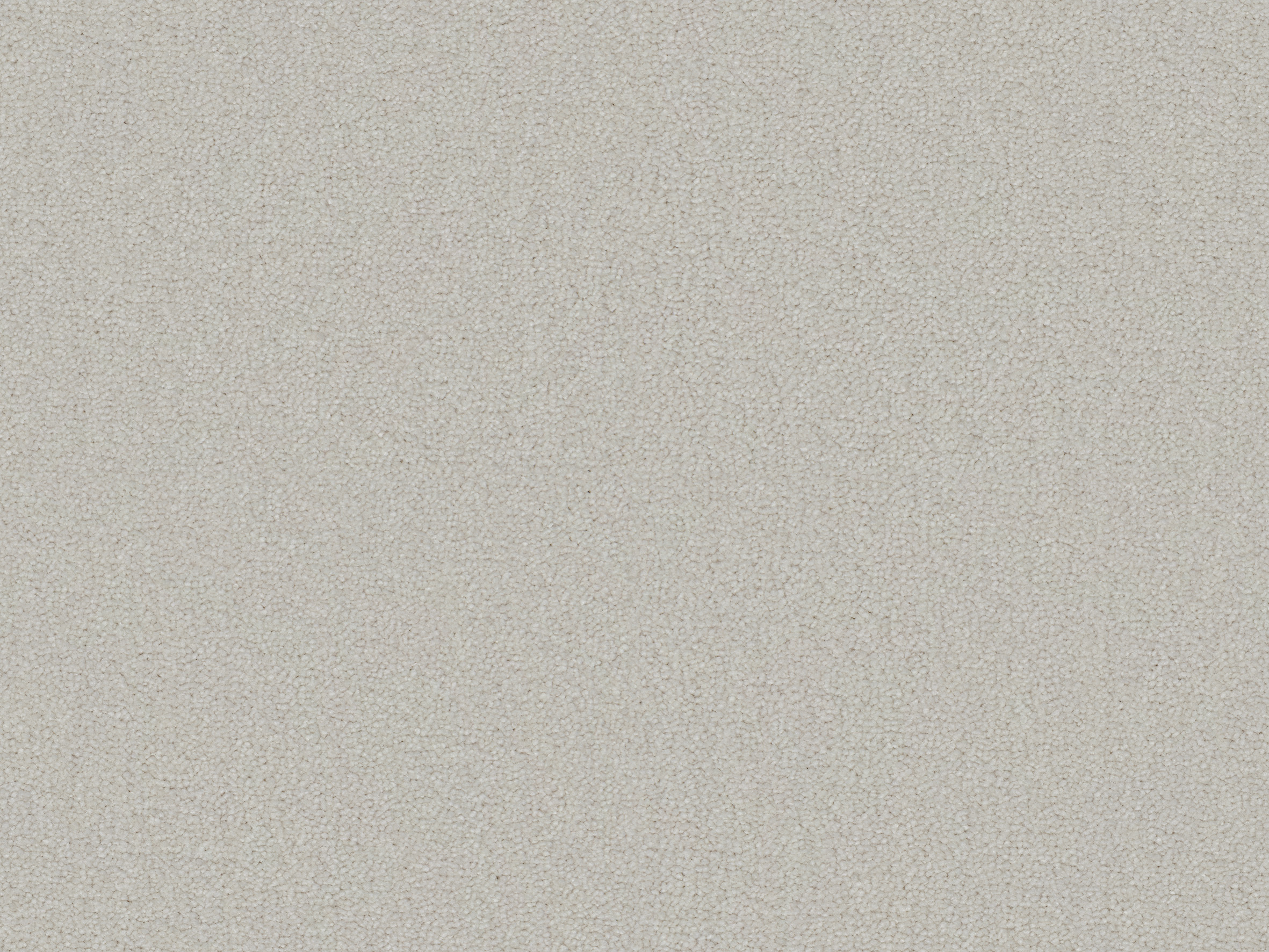 440 Ivory