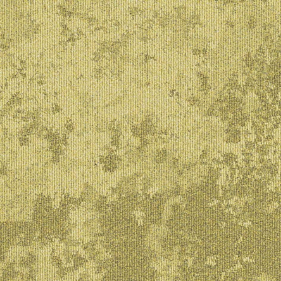 35703 Winter Yellow