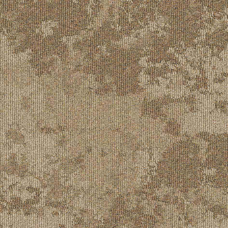 35705 Ground Cover