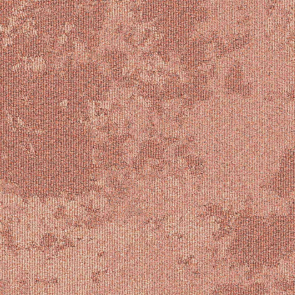 35714 Peach Frost