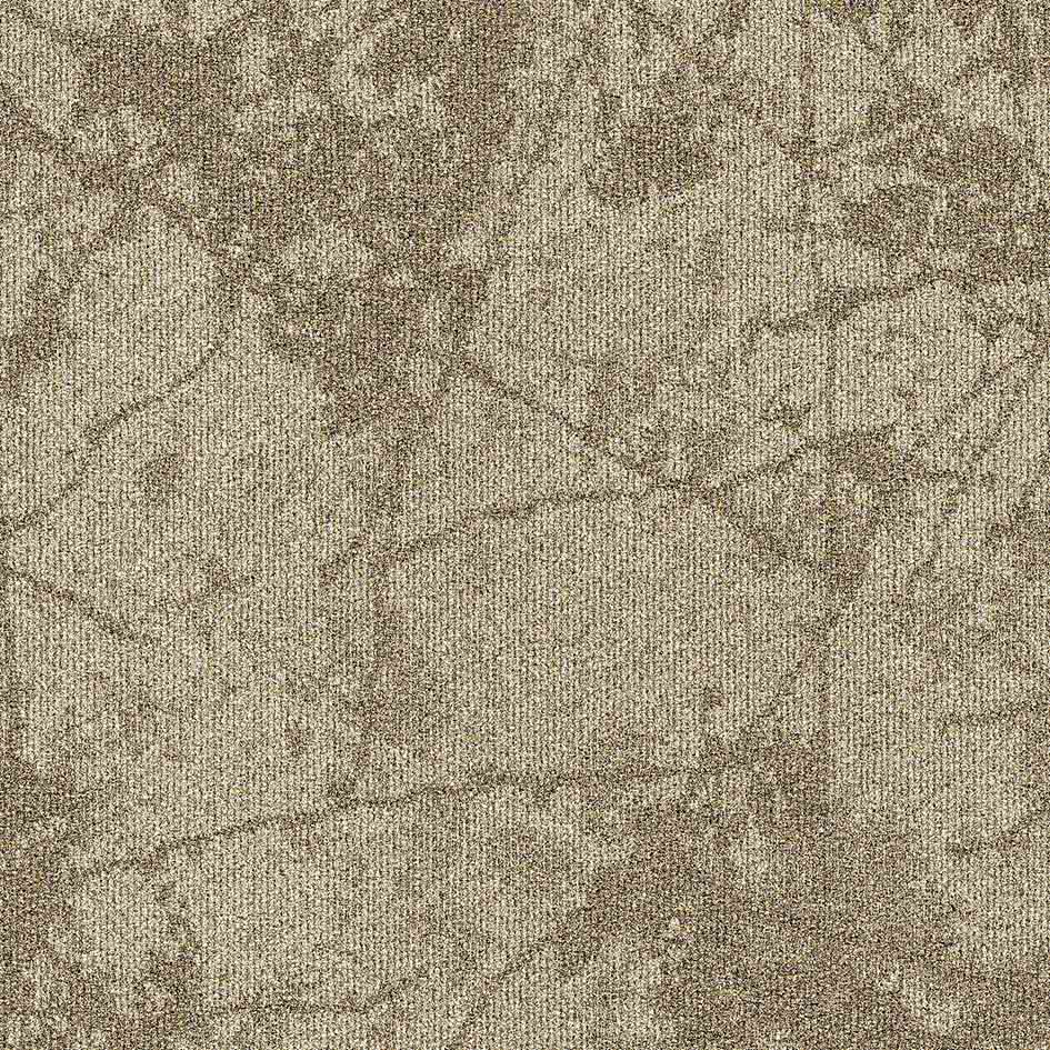 36107 Fragment