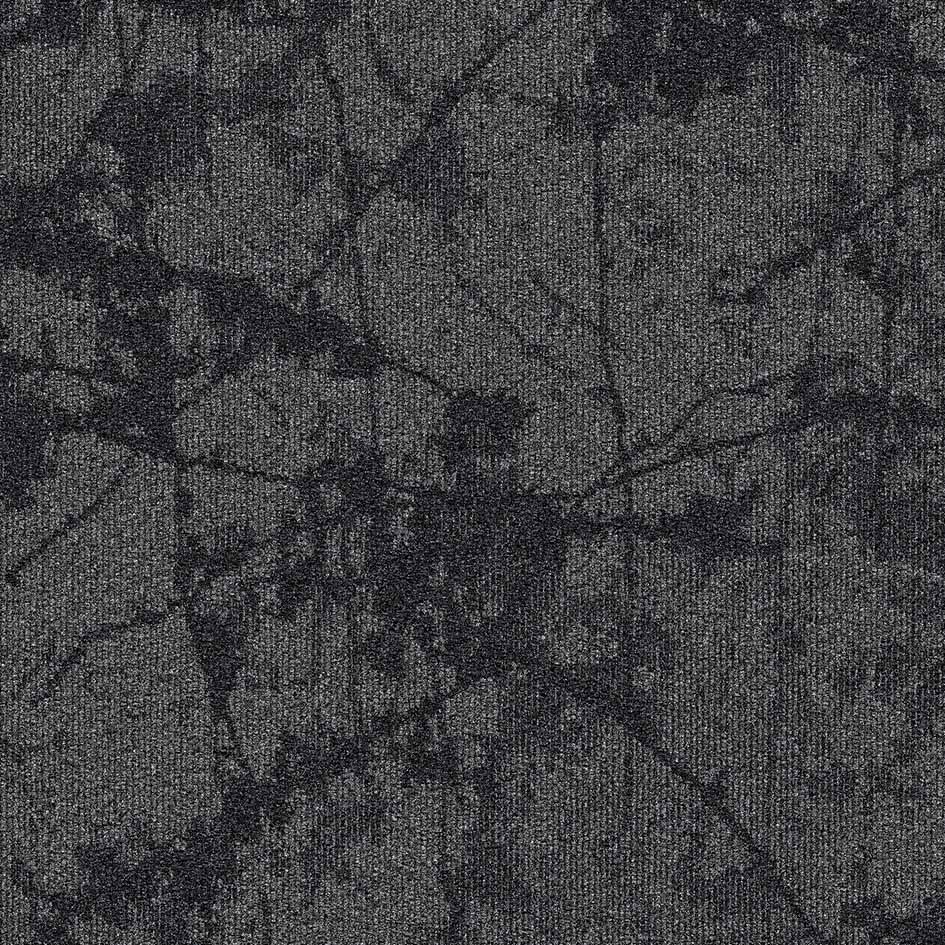36104 Imprint