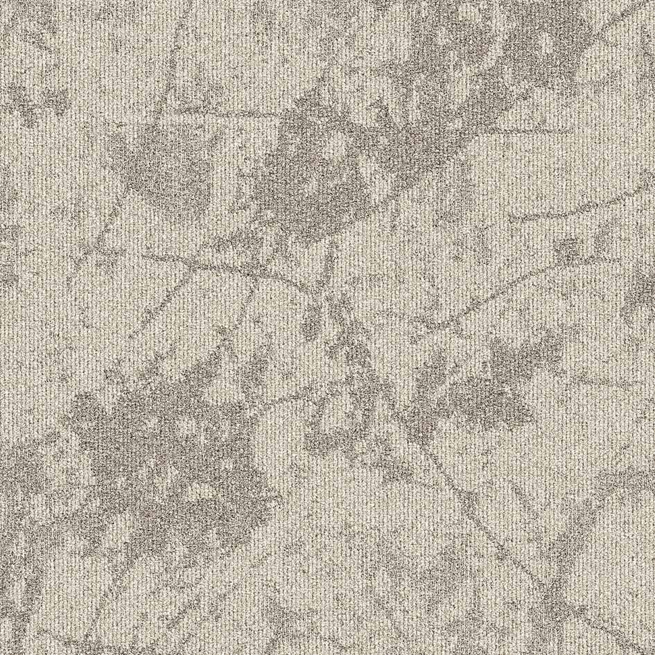 36106 Tectonic