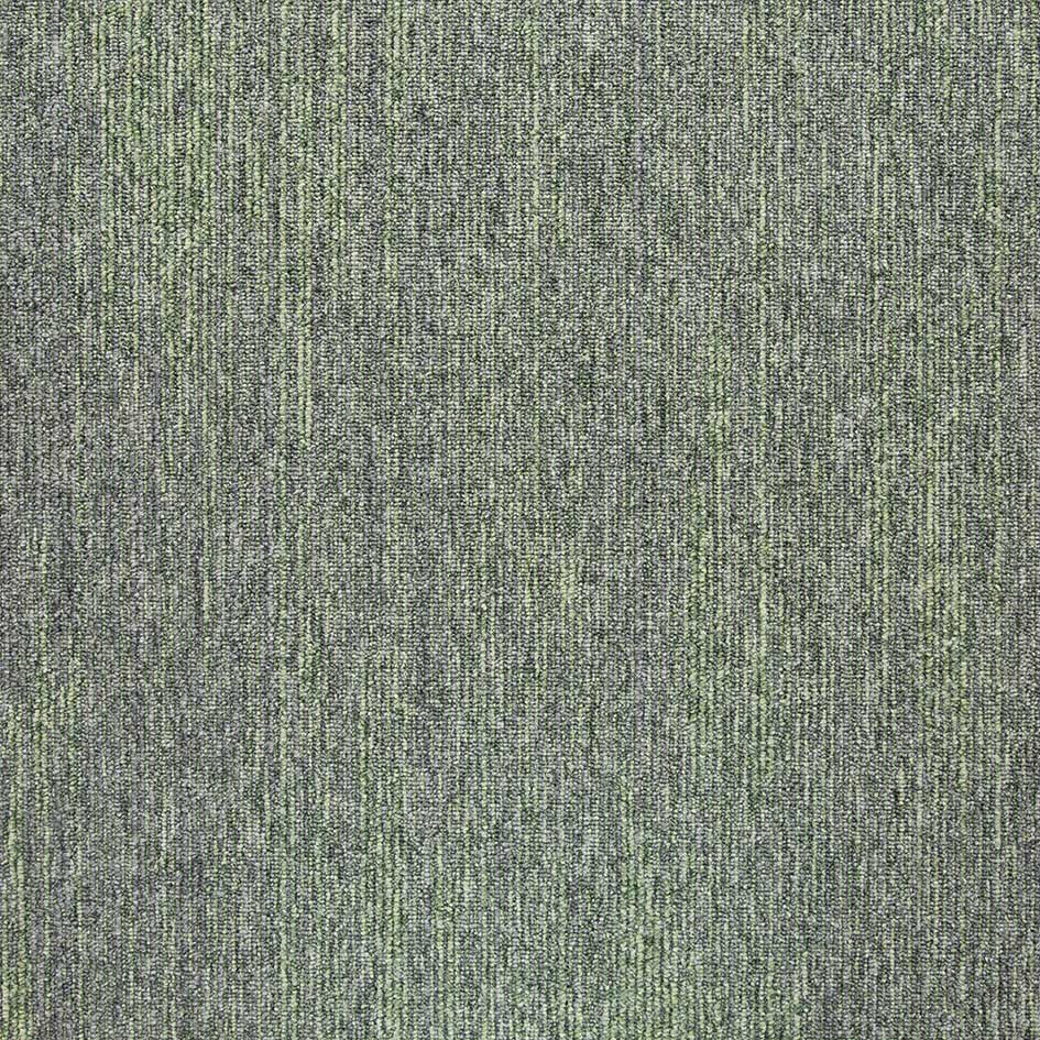 36005 Base Pastel