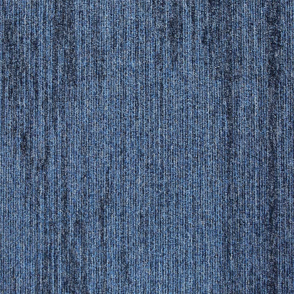36003 Pigment Tide