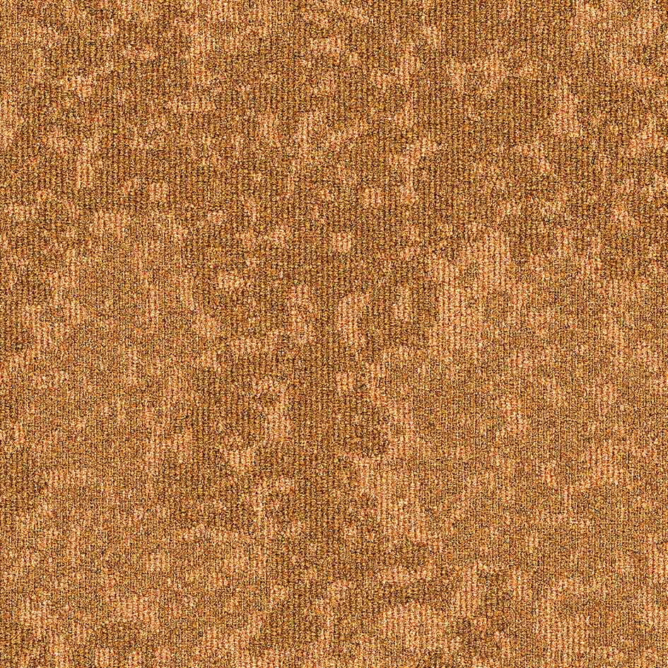 35515 Apricot Mural