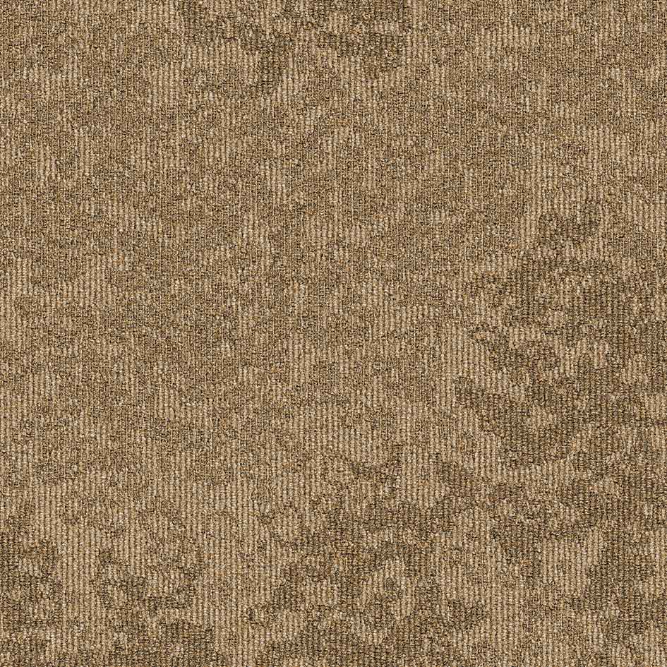 35503 Golden Tone