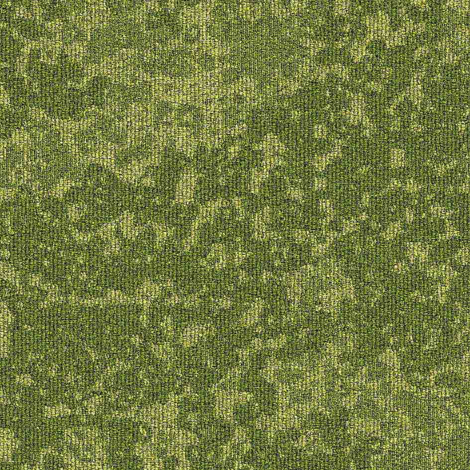 35513 Greenery Moss