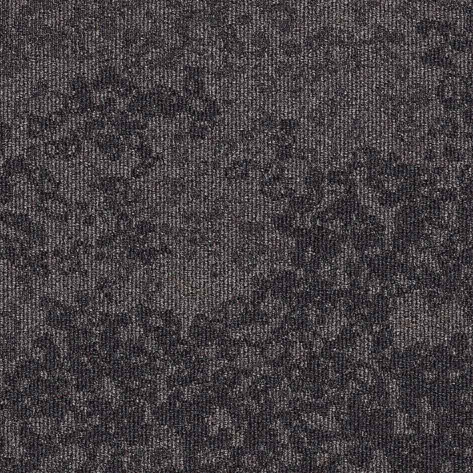 35512 Night Shadow