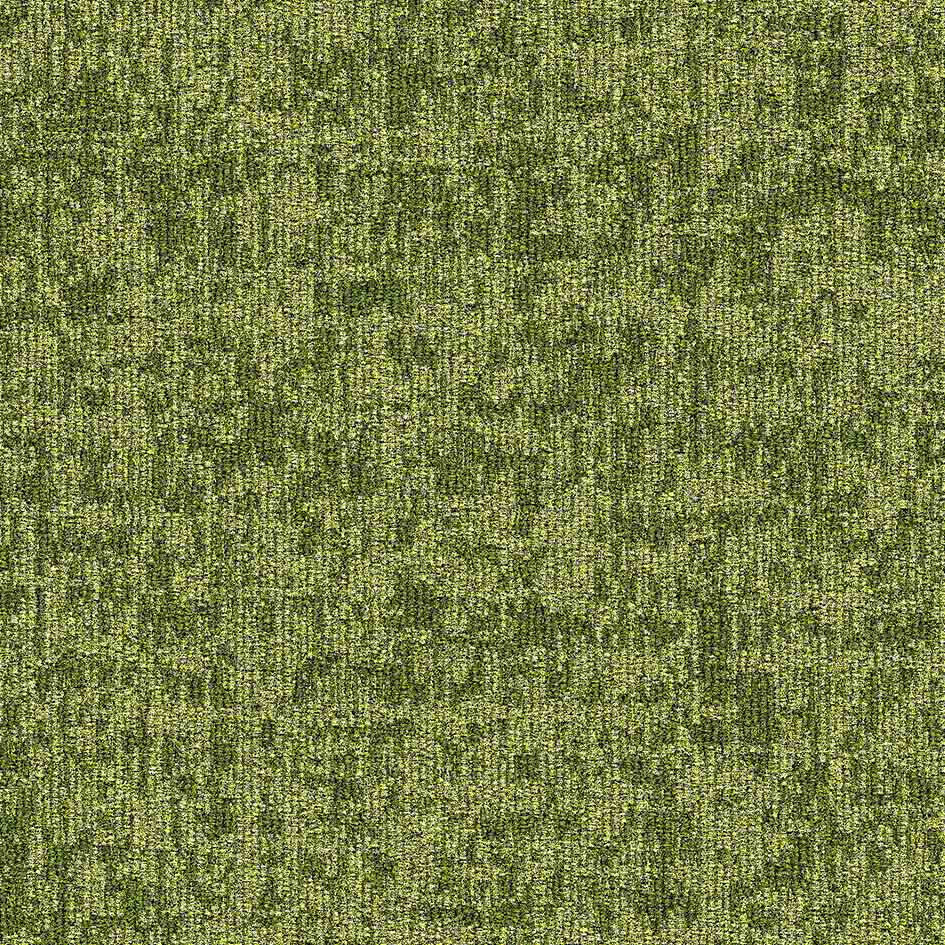 35613 Alfresco Moss