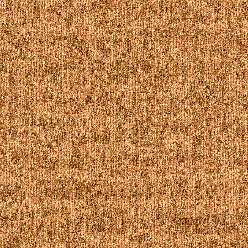 35615 Apricot Shire